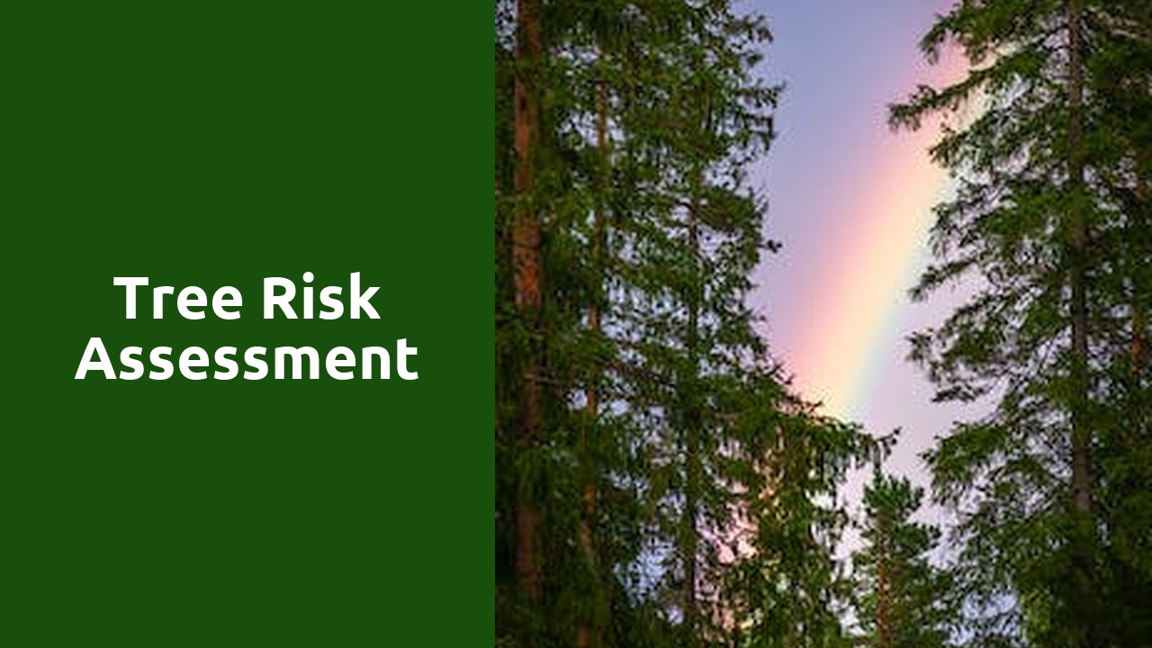 Tree Risk Assessment